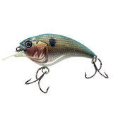 Combat Lures Sonic Side Style Flat Side Crankbait