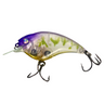 Combat Lures Sonic Side Style Flat Side Crankbait