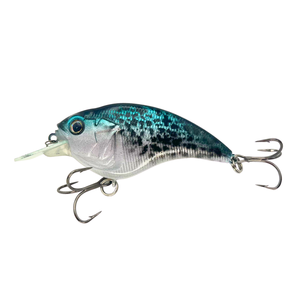 Combat Lures Sonic Side Style Flat Side Crankbait