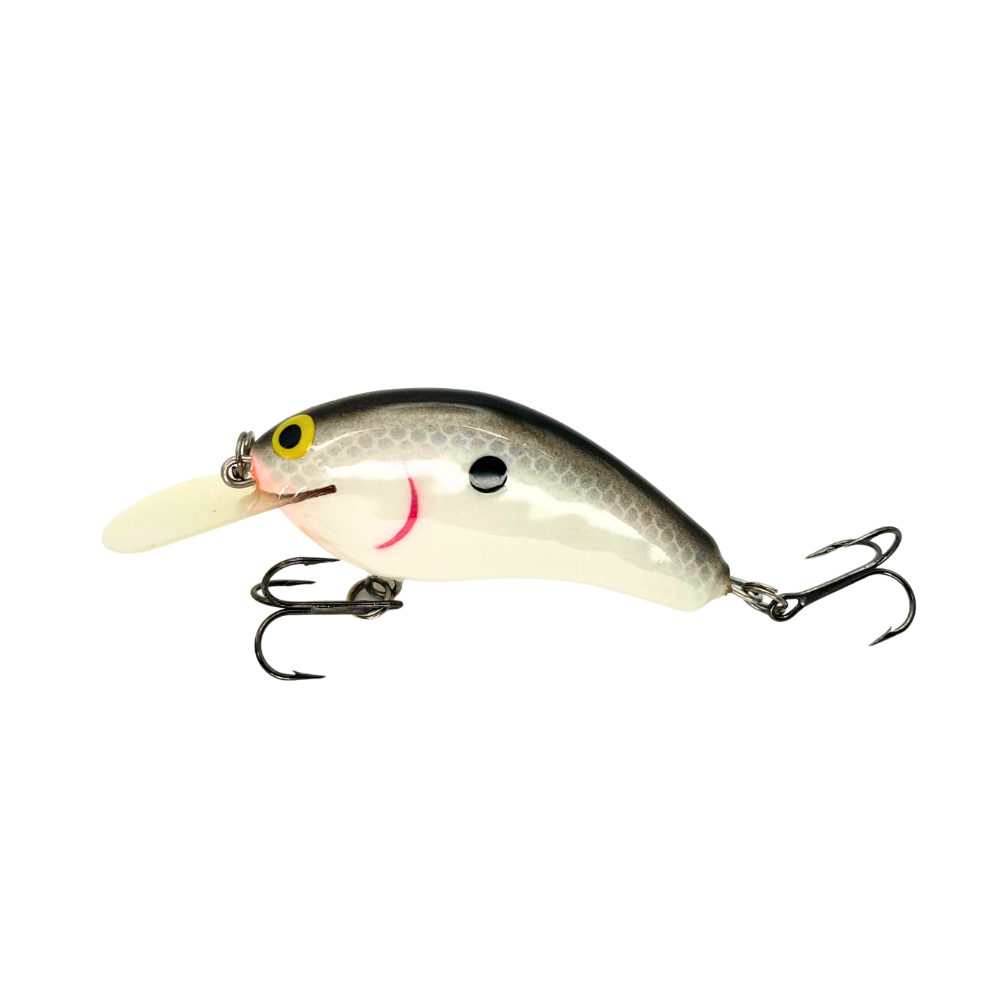 PH Customs Lowen's Dollar Bill Crankbait